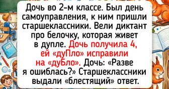 15 случаев, когда обычная контрольная или диктант весь класс раззадорили. А заодно и учителей