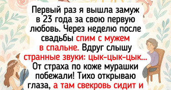 15 историй, во время которых логика сказала: «Давайте как-то без меня сегодня»