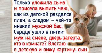 Больше, чем просто кошка: 10 пород с удивительным терпением и реальные истории их дружбы с детьми