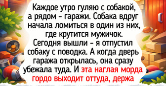 12 добрых историй о питомцах, которые любят нас просто так и делают этот мир чуточку лучше