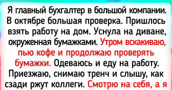 15+ историй про коллег, чье поведение порой вызывает много вопросов