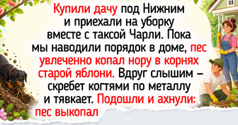 25 питомцев, будни с которыми пропитаны ароматом шалостей и маленьких радостей