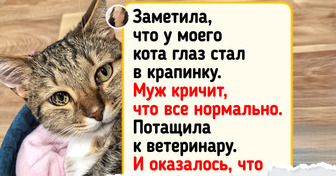 20+ животных, которые выглядят так, словно прилетели с другой планеты