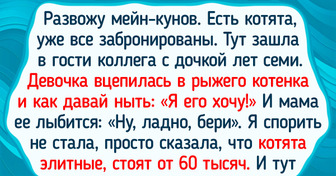 20+ историй о том, что ходить в гости и принимать гостей — задача не для слабонервных