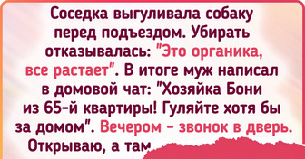 15+ историй о не слишком воспитанных питомцах и таких же хозяевах