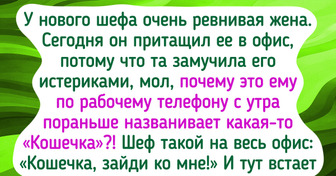 19 коллег, с которыми что ни день, то цирк какой-то