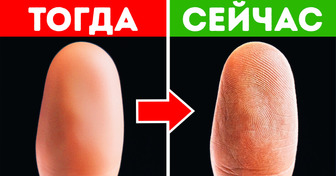 Поврежденные отпечатки пальцев восстанавливают тот же самый узор и другие факты о теле