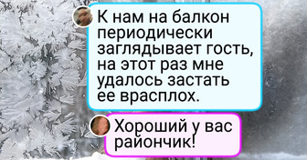 16 кадров, на которых зима проявила себя как самый талантливый и непредсказуемый художник