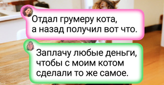 20+ примеров того, как поход к грумеру превращает питомца в звезду