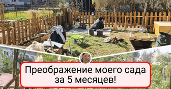 14 садов, глядя на которые хочется срочно взять лопату и сделать так же