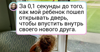 18 человек, которые нос к носу столкнулись с дикой природой