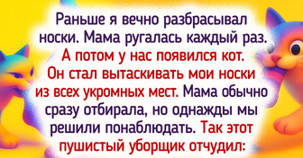 17 питомцев, которые точно знают, как добиться своего