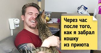 20 человек, которые взяли на себя смелость и спасли животных от незавидной участи