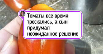 17 человек, которые добавили щепотку творчества в рутину, а заодно и настроение нам подняли