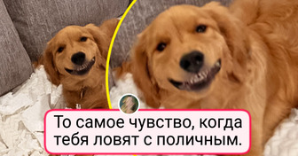 16 фото, которые вызывают улыбку и желание пересмотреть их еще раз