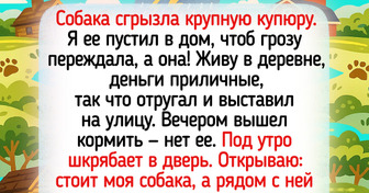 15 историй о жизни в деревне, от которых на душе становится теплее, чем от натопленной печи