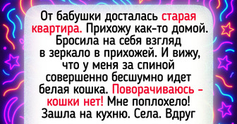 13 совпадений, после которых хочется воскликнуть «Я тебе не верю!»