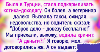 13 историй о том, как любовь и забота изменили жизни бездомных животных