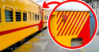 Зачем поездам разноцветные полосы? Любопытное объяснение