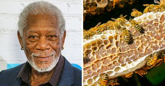 Морган Фримен превратил свое огромное ранчо в пчелиный заповедник, чтобы спасти планету