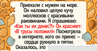 15+ человек, отдых которых не обошелся без приключений