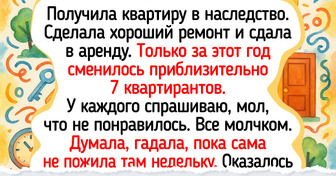 19 историй о том, что снимать и сдавать жилье — то еще приключение