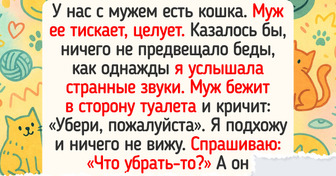 20+ историй о котиках, после которых вы скажете: «Это про меня!»