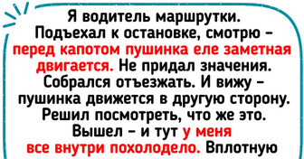 12 забавных историй, которые могли произойти только в автобусе или маршрутке