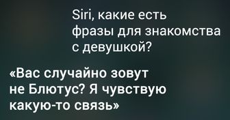 16 раз, когда голосовой помощник уложил человека на обе лопатки