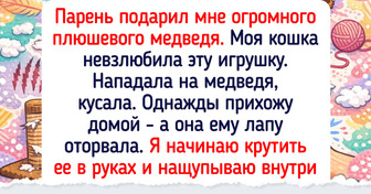 15 неугомонных пушистиков которые разрушили порядок в доме, но наполнили его радостью