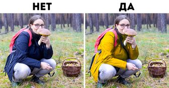 10 правил выживания летом в лесу. Инструкция, которую надо знать детям и взрослым