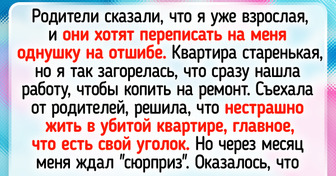 15 человек, которые жили себе спокойно, пока на повестке дня не появился «квартирный вопрос»