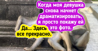 20 фотографий, которые легко перепутать с картинами известных художников