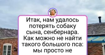 19 питомцев, которые не дают своим хозяевам ни минуты покоя