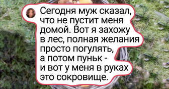 17 снимков, которые на 100% пропитаны осенью