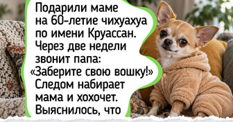 8 маленьких собак с таким сторожевым характером, что размеры вообще не важны
