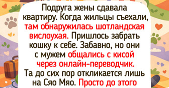 15+ трогательных превращений «до» и «после», где капля любви изменила чью-то жизнь — 24.03.2026