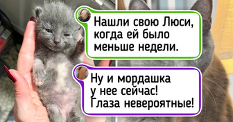 20+ фото питомцев тогда и сейчас, глядя на которые понимаешь, как быстро летит время