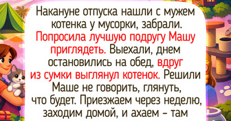 15+ добрых историй о людях, чья мысль течет по какой-то особенной траектории