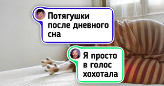 17 животных, чьи мордашки выражают больше эмоций, чем лица некоторых актеров
