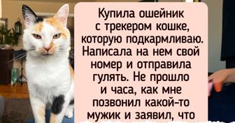 20+ питомцев, которых поймали с поличным, но им хоть бы хны