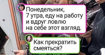23 живых снимка, где питомцы переплюнули актеров по мастерству передачи эмоций