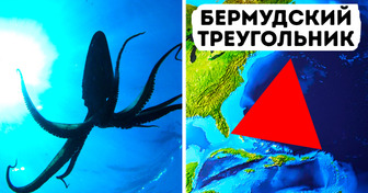 В Бермудском треугольнике могут скрываться гигантские кальмары!
