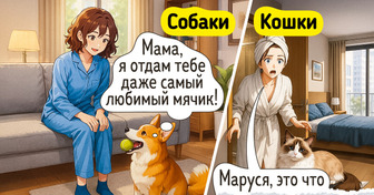 20 комиксов, которые доказывают, что кошатники и собачники живут словно на разных планетах