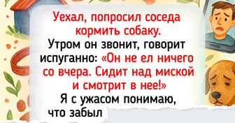 20 домашних питомцев, для которых что-то эдакое отчебучить — в порядке вещей