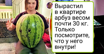 14 фото, на которых привычная нам еда раскрылась с неожиданной стороны