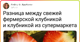 20+ человек, которые внимательно присмотрелись к своей еде, и у них возникли вопросы