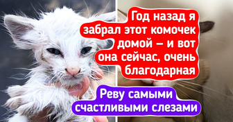 17 человек, которые дали бездомным животным шанс начать новую жизнь