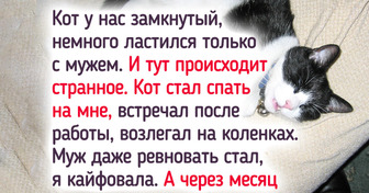 19 читателей ADME, чьи пушистые отличаются умом и сообразительностью