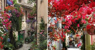 15 прекрасных улиц, расцветающих с приходом весны